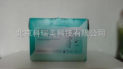 骨保護素試劑盒