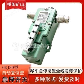 GEJ30急停开关自动复位型  矿用机械配件