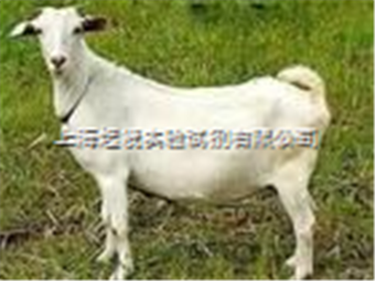 Jackson ImmunoResearch抗地高辛抗體