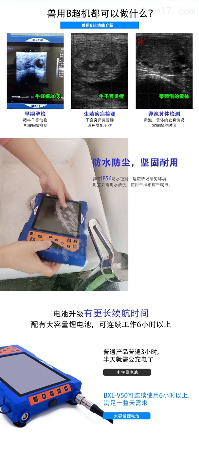高清牛用B超机