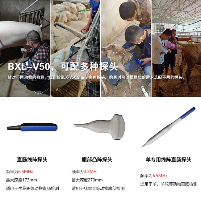 多功能牛用B超机