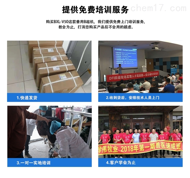 高清牛用B超仪
