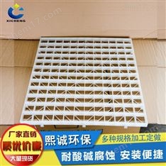 熙誠 PP格柵板 網(wǎng)格板 PP洗滌塔支撐網(wǎng)板 格柵板 *