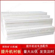 高分子提升機(jī)JT1.6x1.2鋼絲繩纏繞塑料襯板