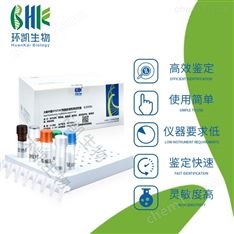 唐菖蒲伯克霍尔德氏菌核酸快速检测试剂盒